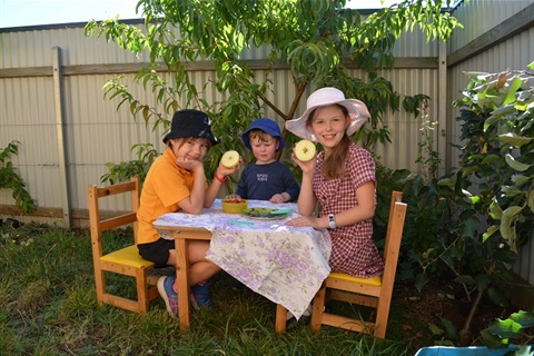 Edible garden.jpg