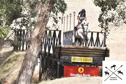 Heytesbury Horse trials.jpg