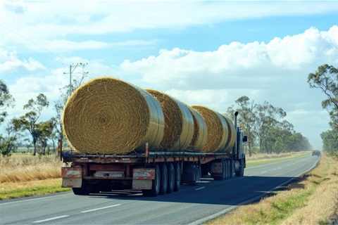 Hay truck.jpg