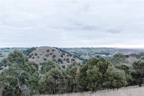 Mt Leura and Mt Sugarloaf committee.jpg